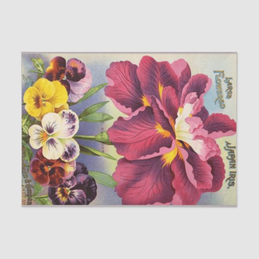 Japan Iris Floral Decoupage Seidenpapier (Vorderseite)