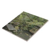 Japan, Ishikawa, Kanazawa, Nomura Samurai House Fliese (Seite)