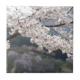 Japan Kumamoto Cherry Blossom Fliese