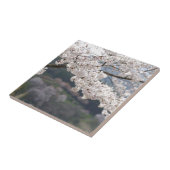 Japan Kumamoto Cherry Blossom Fliese (Seite)
