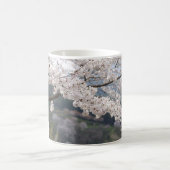 Japan Kumamoto Cherry Blossom Kaffeetasse (Mittel)