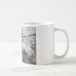 Japan Kumamoto Cherry Blossom Kaffeetasse