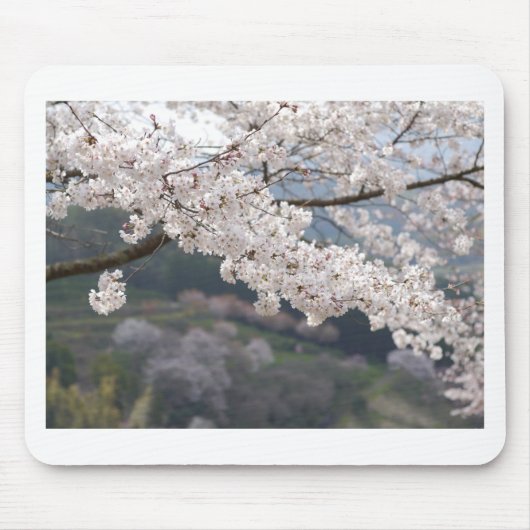 Japan Kumamoto Cherry Blossom Mousepad (Vorne)