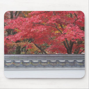 Japan, Kyoto, Autumn Color at Eikando Temple Mousepad