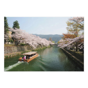 Japan, Kyoto. Blume auf dem Schiff Fotodruck