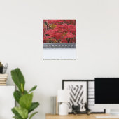 Japan, Kyoto, Herbstfarbe im Eikando-Tempel Poster (Heimbüro)