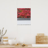 Japan, Kyoto, Herbstfarbe im Eikando-Tempel Poster (Küche)