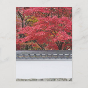 Japan, Kyoto, Herbstfarbe im Eikando-Tempel Postkarte