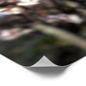 Japan, Kyoto. Hinteransicht nah-up von geisha's Poster (Ecke)