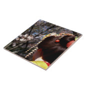 Japan, Kyoto. Hinteransicht nahe von geisha's Fliese (Seite)