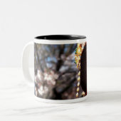 Japan, Kyoto. Hinteransicht nahe von geisha's Zweifarbige Tasse (Vorderseite Links)