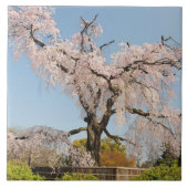 Japan, Kyoto. Kirschbaum unter blauem Himmel Fliese (Vorderseite)