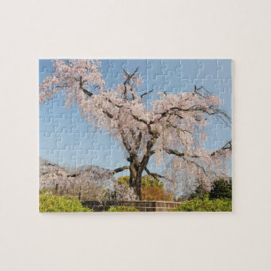 Japan, Kyoto. Kirschbaum unter blauem Himmel Puzzle