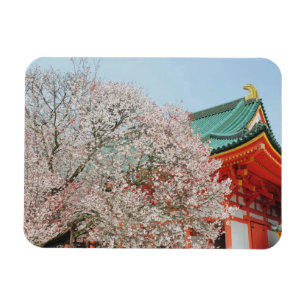 Japan, Kyoto. Kirschblüte des Shinto Magnet