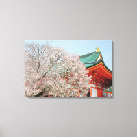 Japan, Kyoto. Kirschblüte von Shinto