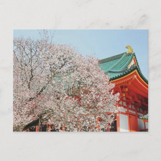 Japan, Kyoto. Kirschblüte von shintoistischem Postkarte (Vorderseite)