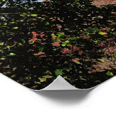 Japan, Kyoto. Kiyomizu-Tempel in Herbstfarbe Poster (Ecke)