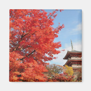 Japan, Kyoto. Kiyomizu-Tempel in Herbstfarben Magnet