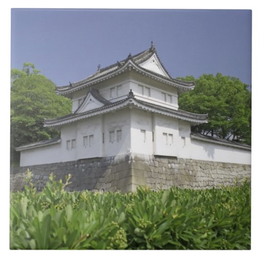 Japan, Kyoto, Schloss Nijo Fliese (Vorderseite)