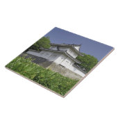 Japan, Kyoto, Schloss Nijo Fliese (Seite)