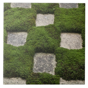 Japan, Kyoto, Tofukuji Tempel, Garten Fliese