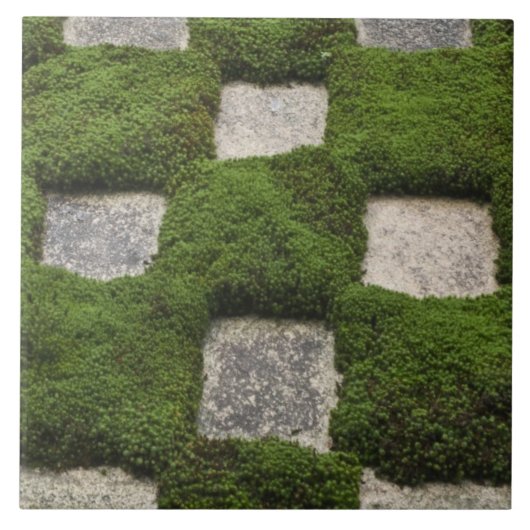 Japan, Kyoto, Tofukuji Tempel, Garten Fliese (Vorderseite)