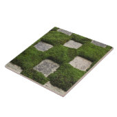 Japan, Kyoto, Tofukuji Tempel, Garten Fliese (Seite)