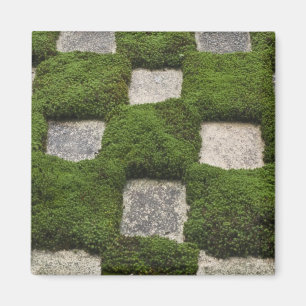 Japan, Kyoto, Tofukuji-Tempel, Garten Magnet