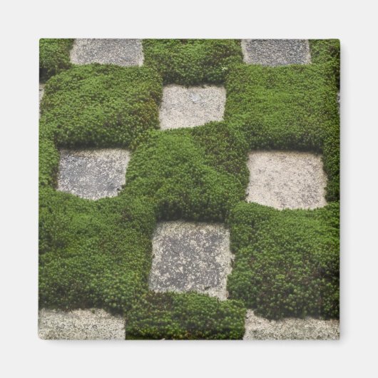 Japan, Kyoto, Tofukuji Tempel, Garten Magnet (Vorne)