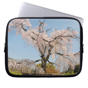 Japan, Kyoto. Trauer-Kirsche unter blauem Himmel Laptopschutzhülle