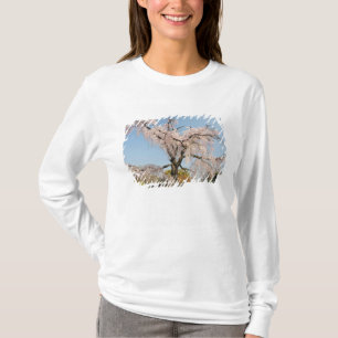 Japan, Kyoto. Trauerkirsche unter blauem Himmel T-Shirt