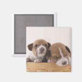 Japan Magnet (Vorderseite/Rückseite)