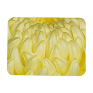 Japan, Mie, Ise-Schrein, Chrysantheme Magnet