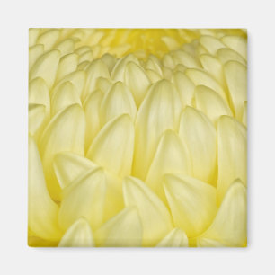 Japan, Mie, Ise-Schrein, Chrysantheme Magnet