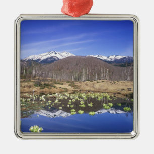 Japan, Nagano, Norikura, Berg Norikura & Silbernes Ornament
