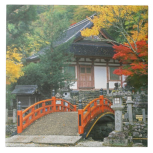 Japan, Nara, Ryuzenji Tempel Fliese