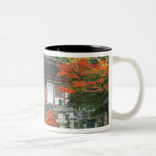 Japan, Nara, Ryuzenji Tempel Zweifarbige Tasse