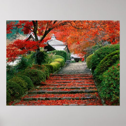 Japan Poster (Vorne)