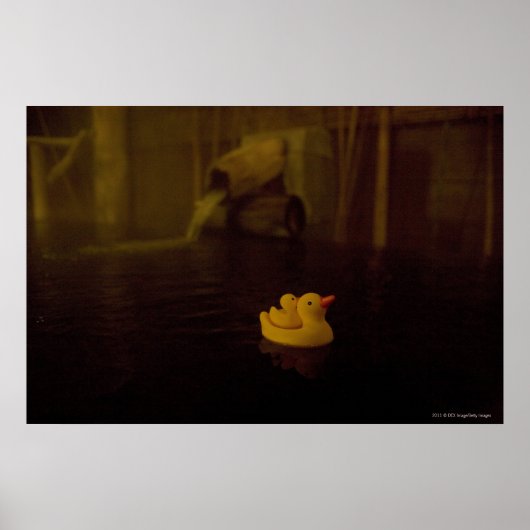 Japan Poster (Vorne)