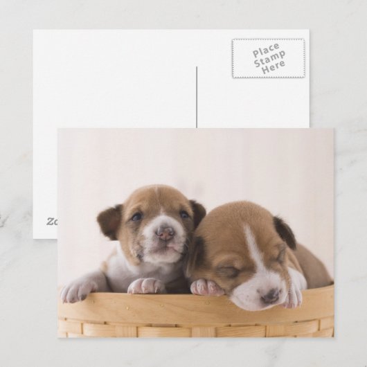 Japan Postkarte (Vorne/Hinten)