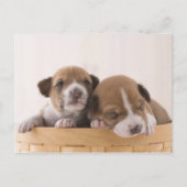 Japan Postkarte (Vorderseite)