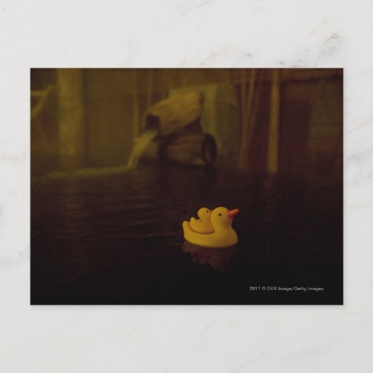 Japan Postkarte (Vorderseite)