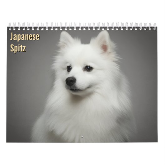Japan-Spitz 2027 Wandkalender (Titelbild)
