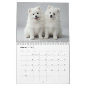 Japan-Spitz 2027 Wandkalender (Feb 2027)