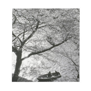 Japan, Tokio. Kirschblüten im Kaiserlichen Notizblock