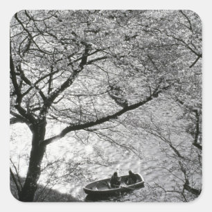 Japan, Tokio. Kirschblüten im Kaiserlichen Quadratischer Aufkleber