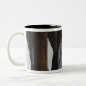 Japan, Tokio, Meiji-Schrein-Herbstfestival Zweifarbige Tasse (Links)