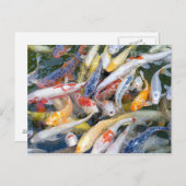 Japan, Tokio, nah aufgewachsener Schwimmfisch Postkarte (Vorne/Hinten)