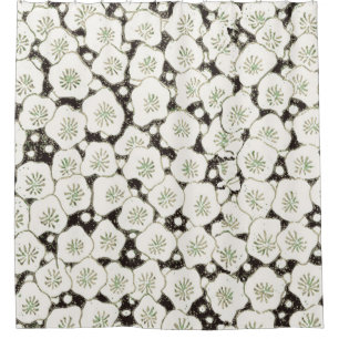 Japan Weiße Blume Blumengarten Duschvorhang