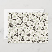 Japan Weiße Blume Blumengarten Postkarte (Vorne/Hinten)